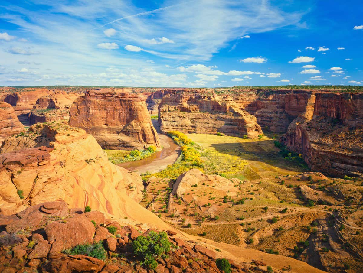 Petrified Forest National Park: Ancient Wonders Scenic Hikes Travel