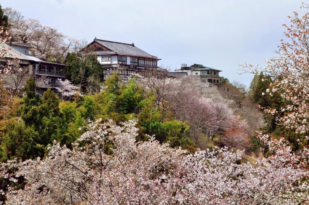 Mount Yoshino Nara Prefecture Travel Guide