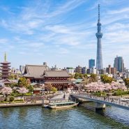 2026東京淺草景點