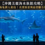 沖繩美麗海水族館