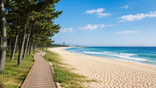 Gangneung coast showing the best areas to stay near beaches, cafes and transport