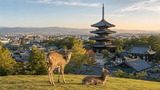 Map-style view of the best areas to stay in Nara near Kintetsu Nara, JR Nara, Naramachi and Nara Park