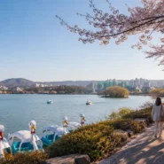 Best family hotels in Daegu near Dongdaegu Station, Dongseong-ro and Suseong Lake