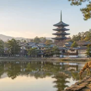 Best hotels in Nara for every budget near Nara Park, Kintetsu Nara Station and JR Nara Station