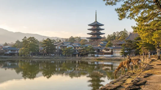 Best hotels in Nara for every budget near Nara Park, Kintetsu Nara Station and JR Nara Station