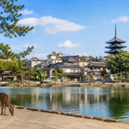 A practical guide to the best hotels near Nara city center, Kintetsu Nara Station and JR Nara Station