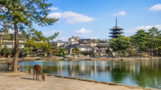 A practical guide to the best hotels near Nara city center, Kintetsu Nara Station and JR Nara Station