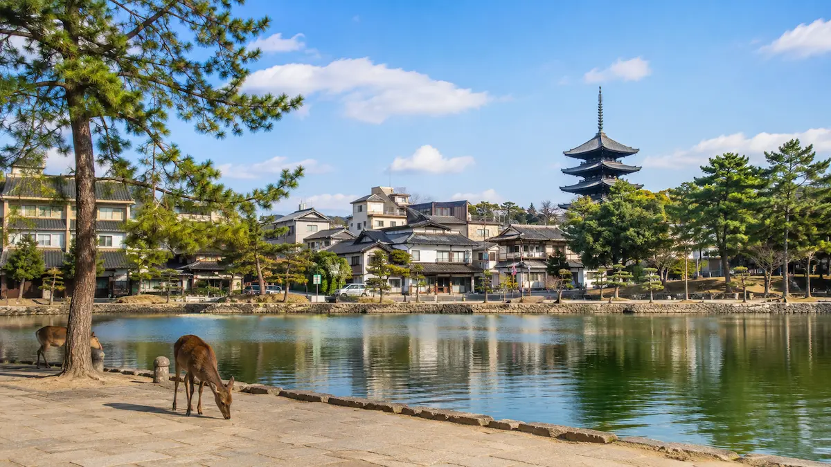 A practical guide to the best hotels near Nara city center, Kintetsu Nara Station and JR Nara Station