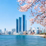 Best Time to Visit Busan: The Month-by-Month Reality financial analysis featured image