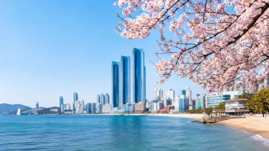 Best Time to Visit Busan: The Month-by-Month Reality financial analysis featured image