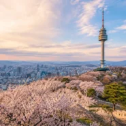 Daegu skyline and seasonal travel planning for the best time to visit Daegu