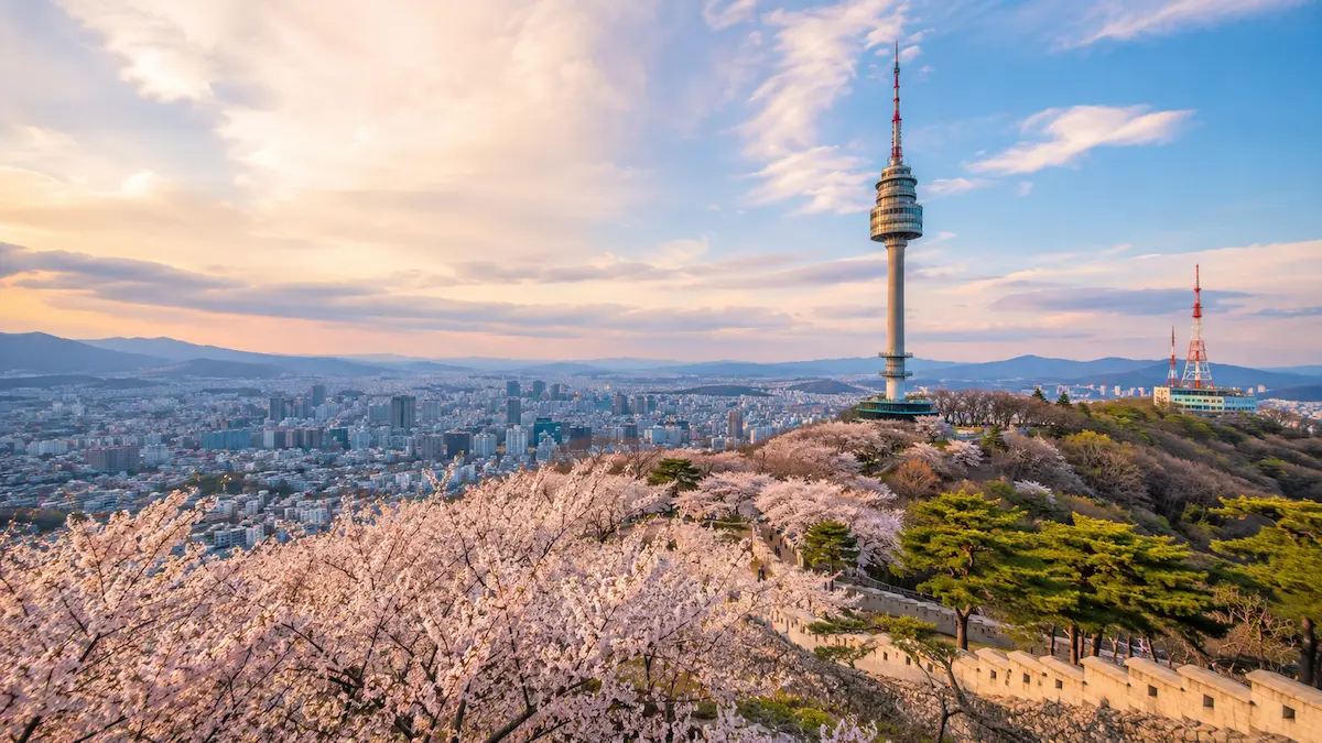 Daegu skyline and seasonal travel planning for the best time to visit Daegu