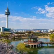 Best time to visit Daejeon guide covering spring cherry blossoms, autumn foliage, summer rain and winter travel