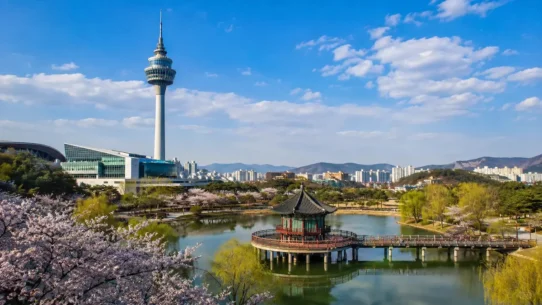 Best time to visit Daejeon guide covering spring cherry blossoms, autumn foliage, summer rain and winter travel