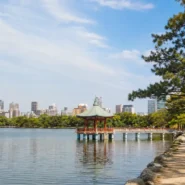 Fukuoka through four seasons with cherry blossoms, a summer festival, autumn leaves and winter illuminations