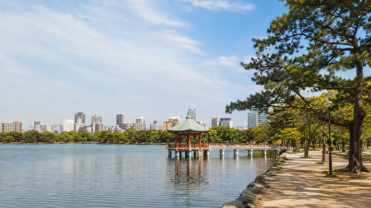 Fukuoka through four seasons with cherry blossoms, a summer festival, autumn leaves and winter illuminations
