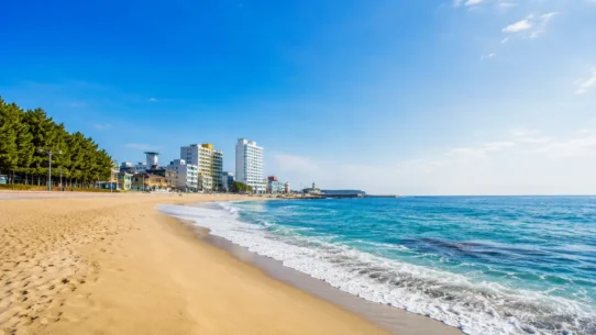 Gyeongpo Beach and spring blossoms in Gangneung, South Korea, illustrating the best time to visit Gangneung