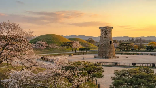 Best time to visit Gyeongju with cherry blossoms, historic sites and autumn foliage