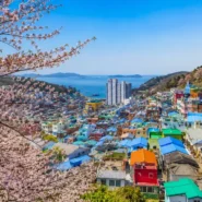 Incheon seasonal travel guide showing the best time to visit Incheon for weather, cherry blossoms and autumn foliage