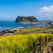 Jeju City seasonal scenery showing the best time to visit Jeju City
