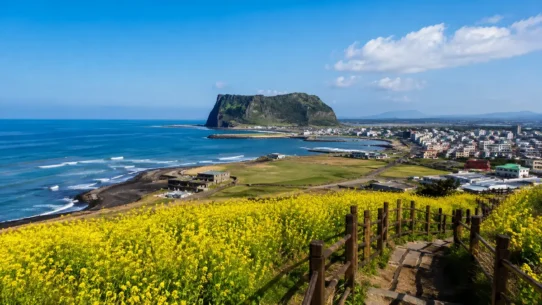 Jeju City seasonal scenery showing the best time to visit Jeju City