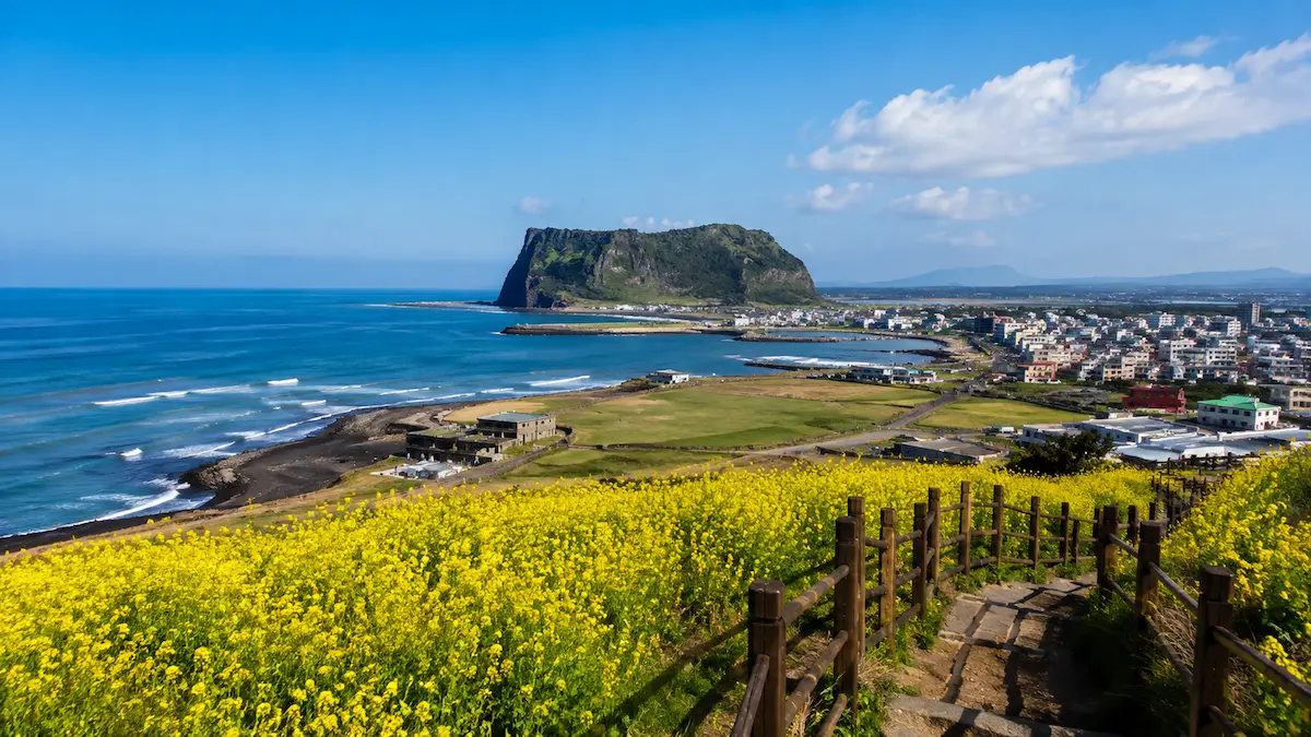 Jeju City seasonal scenery showing the best time to visit Jeju City