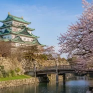 Nagoya Castle surrounded by seasonal cherry blossoms and autumn foliage