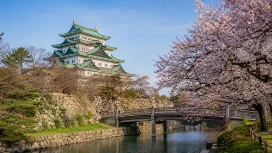 Nagoya Castle surrounded by seasonal cherry blossoms and autumn foliage
