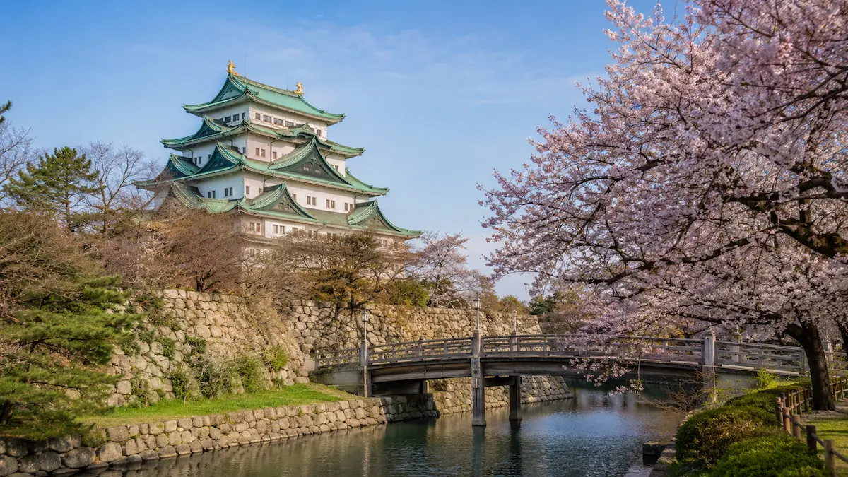 Nagoya Castle surrounded by seasonal cherry blossoms and autumn foliage