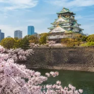 Osaka Castle across four seasons with cherry blossoms, summer greenery, autumn leaves and winter lights