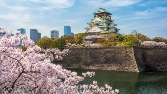 Osaka Castle across four seasons with cherry blossoms, summer greenery, autumn leaves and winter lights