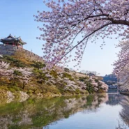 Suwon Hwaseong Fortress showing the best time to visit Suwon across different seasons