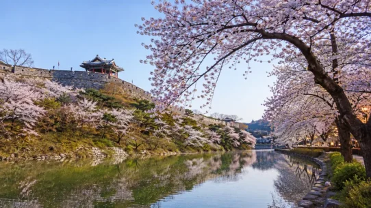 Suwon Hwaseong Fortress showing the best time to visit Suwon across different seasons