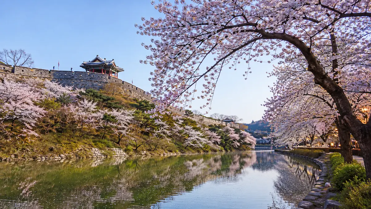 Suwon Hwaseong Fortress showing the best time to visit Suwon across different seasons