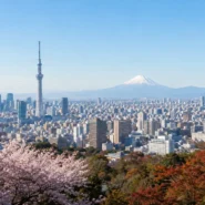 Tokyo skyline and cherry blossoms illustrating the best time to visit Tokyo by season