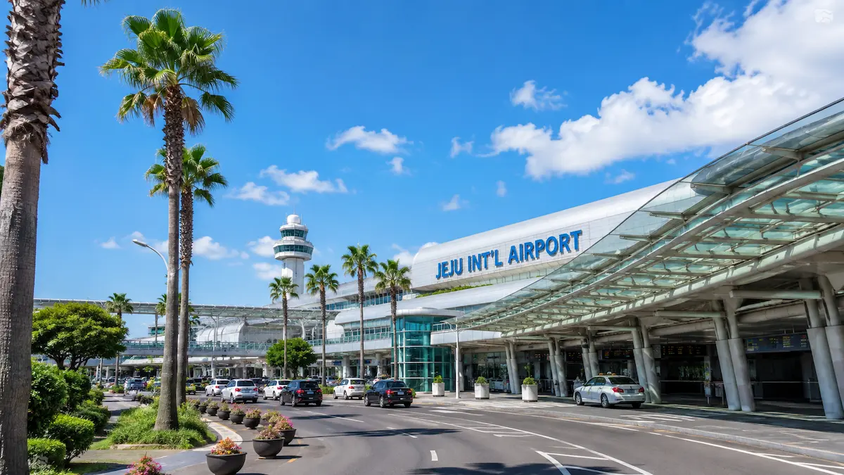 Jeju Airport to Jeju City Center bus taxi and transfer options