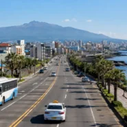 Travel options from Jeju Bus Terminal to Jeju City Center in South Korea