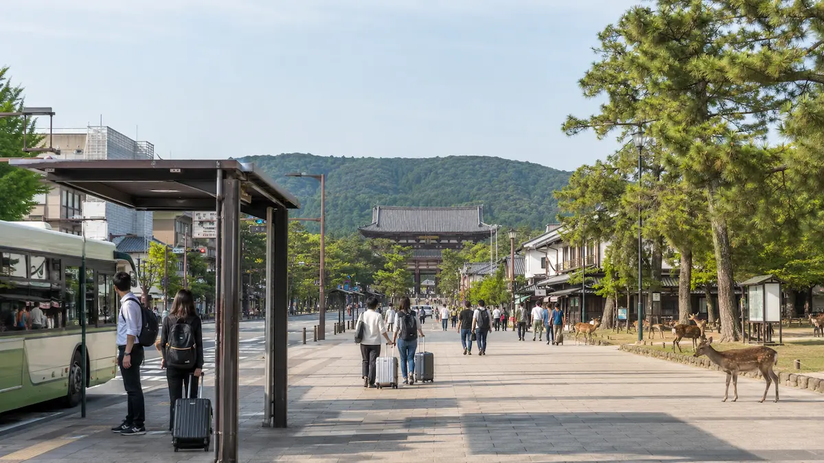 Travelers choosing transport from JR Nara Station to Nara city center and Nara Park
