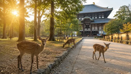 Deer near Todai-ji Temple on a practical five-day Nara itinerary