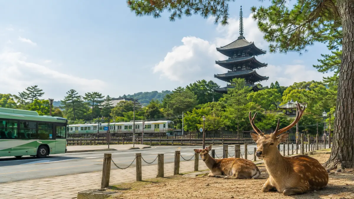 Kintetsu and JR trains, buses and walking routes featured in a Nara transportation guide