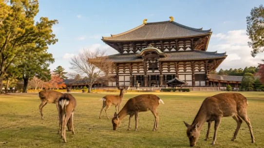 First-time visitors walking through Nara Park near the deer and historic temples