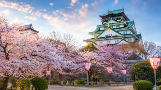 Three-day Nagoya itinerary featuring Nagoya Castle, Toyota museum, Atsuta Shrine, Osu, Sakae and Inuyama Castle
