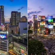 Split view of Shinjuku and Shibuya showing Tokyo hotel districts at night